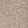 Horizon Carpet: Exquisite Shades Plantation